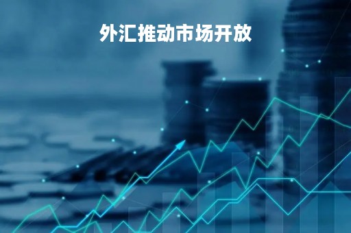外汇推动市场开放「外汇管理开放程度」