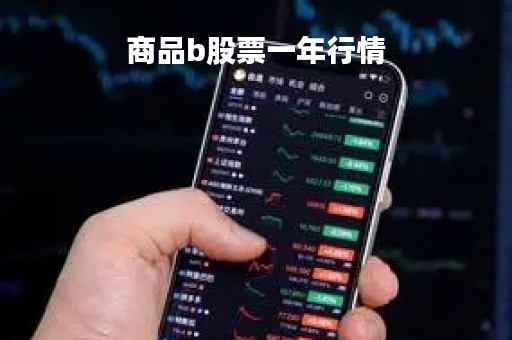 商品b股票一年行情「b股 2021」