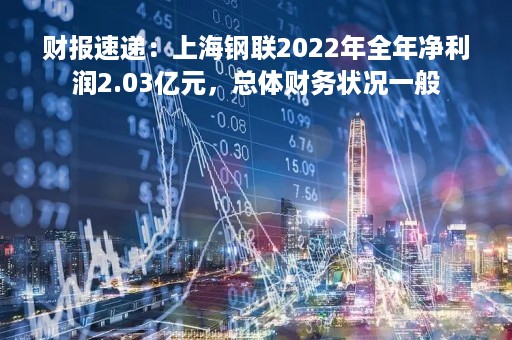 财报速递：上海钢联2022年全年净利润2.03亿元，总体财务状况一般