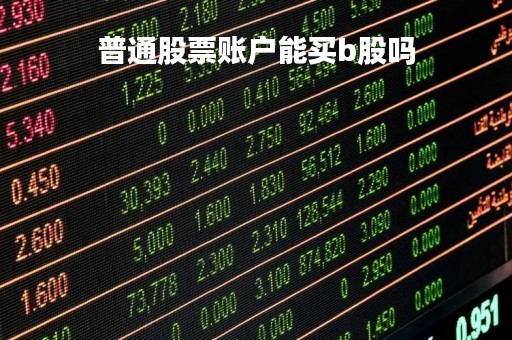 普通股票账户能买b股吗「普通股票账户可以买中小板吗」