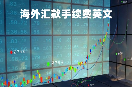 海外汇款手续费英文「海外汇款手续费英文怎么说」