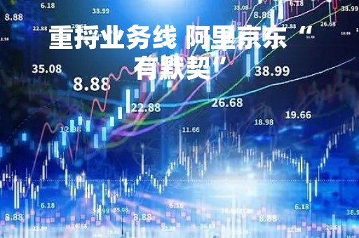 重捋业务线 阿里京东“有默契”