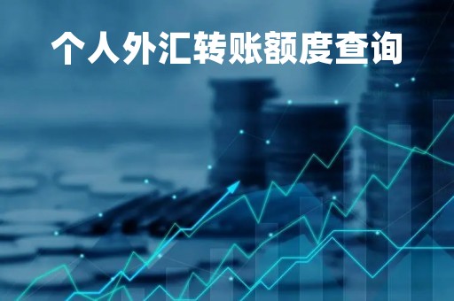 个人外汇转账额度查询「个人外汇交易记录如何查」