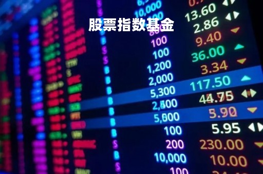 股票指数基金「股票指数基金怎么买」