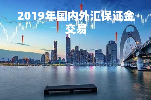 2019年国内外汇保证金交易「国内开展外汇保证金」
