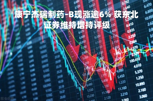 康宁杰瑞制药-B现涨逾6% 获东北证券维持增持评级 康宁杰瑞制药-B现涨逾6% 获东北证券维持增持评级