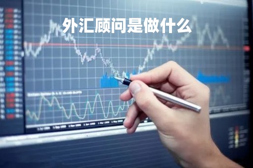 外汇顾问是做什么「外汇业务咨询」