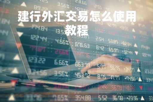 建行外汇交易怎么使用教程「建设银行外汇汇款流程」