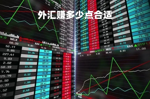 外汇赚多少点合适「外汇一天能挣多少钱」