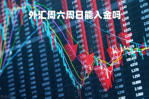 外汇周六周日能入金吗「外汇周六周日能入金吗」