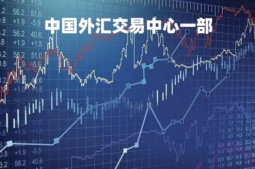中国外汇交易中心一部「中国外汇交易中心是什么单位」