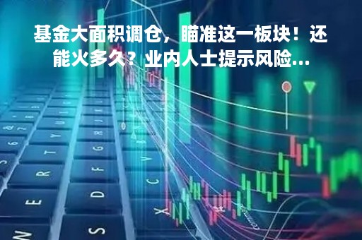 基金大面积调仓，瞄准这一板块！还能火多久？业内人士提示风险...