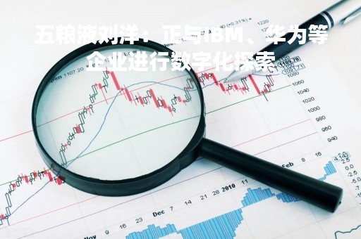 五粮液刘洋：正与IBM、华为等企业进行数字化探索