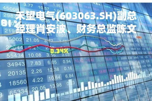 禾望电气(603063.SH)副总经理肖安波、财务总监陈文锋拟减持不超100万股