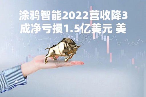 涂鸦智能2022营收降3成净亏损1.5亿美元 美股跌16.6%