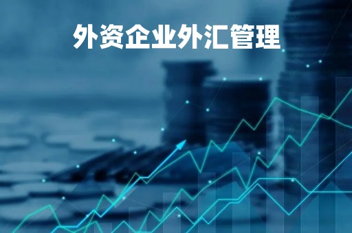 外资企业外汇管理「外资企业外汇管理局备案流程」