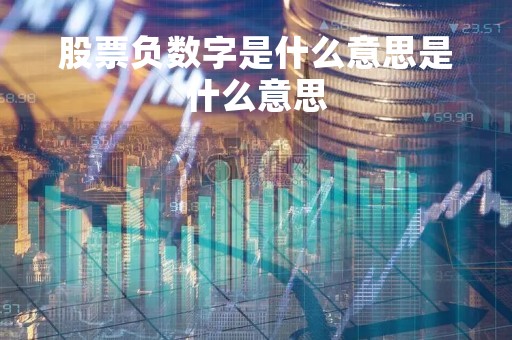 股票负数字是什么意思是什么意思「股票负数是啥意思」