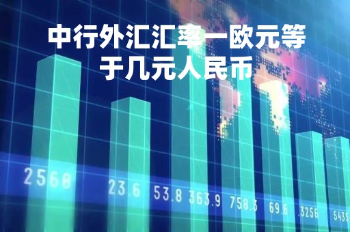 中行外汇汇率一欧元等于几元人民币「中国银行欧元兑换美元汇率」
