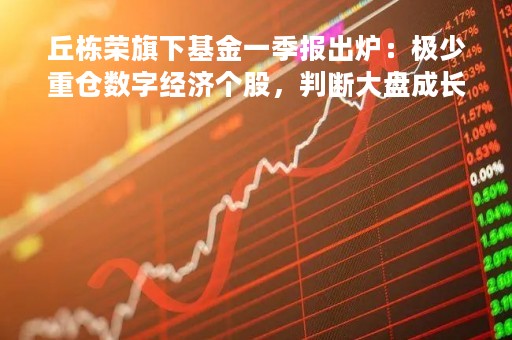 丘栋荣旗下基金一季报出炉：极少重仓数字经济个股，判断大盘成长类股票估值依然偏贵