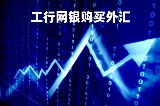 工行网银购买外汇「工商银行购买外汇并转账怎么操作」