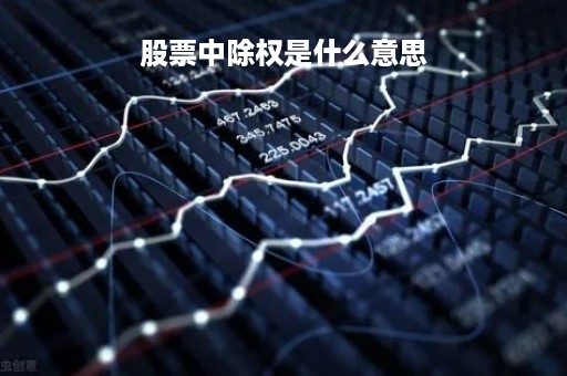 股票中除权是什么意思「股票除权是什么意思?XD」
