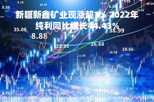 新疆新鑫矿业现涨超7% 2022年纯利同比增长44.43%