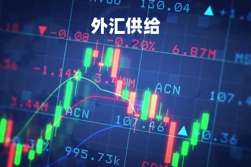 外汇供给「外汇供求理论是指什么」