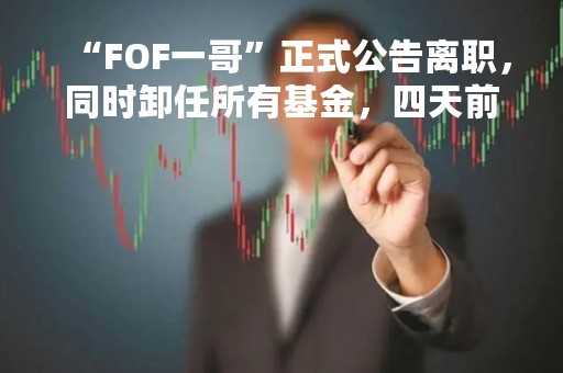 “FOF一哥”正式公告离职，同时卸任所有基金，四天前已辞任公司高管