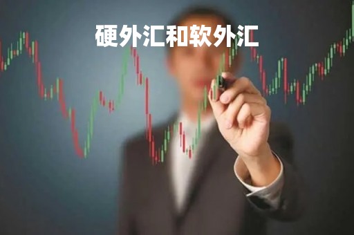 硬外汇和软外汇「外汇中的硬币和软币是指什么」