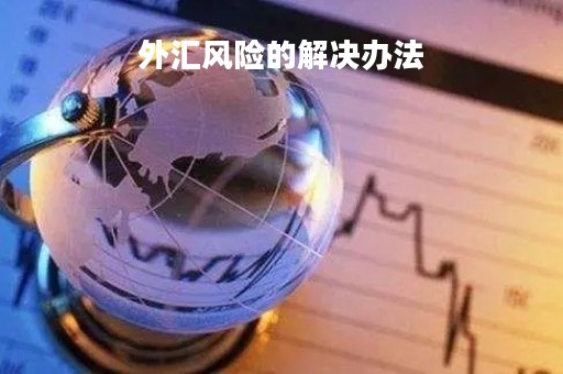 外汇风险的解决办法「如何解决外汇风险」