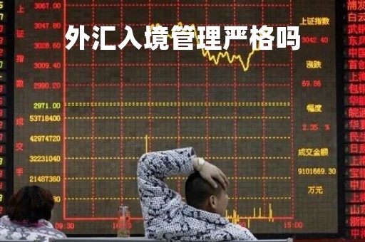 外汇入境管理严格吗「外汇入境管理严格吗」