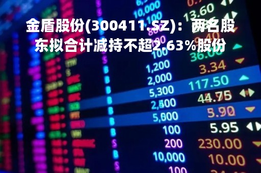 金盾股份(300411.SZ)：两名股东拟合计减持不超2.63%股份
