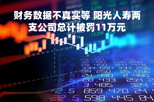 财务数据不真实等 阳光人寿两支公司总计被罚11万元
