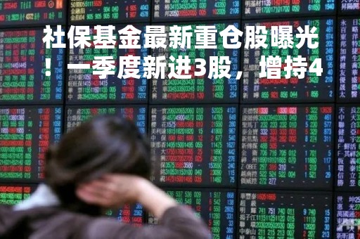 社保基金最新重仓股曝光！一季度新进3股，增持4股