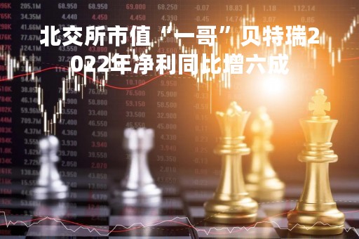 北交所市值“一哥”贝特瑞2022年净利同比增六成