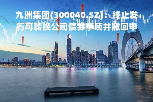 九洲集团(300040.SZ)：终止发行可转换公司债券事项并撤回申请文件