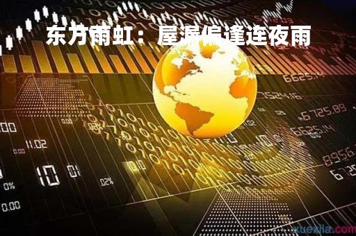 东方雨虹：屋漏偏逢连夜雨