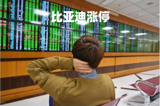 比亚迪涨停
