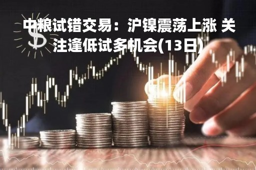 中粮试错交易：沪镍震荡上涨 关注逢低试多机会(13日)