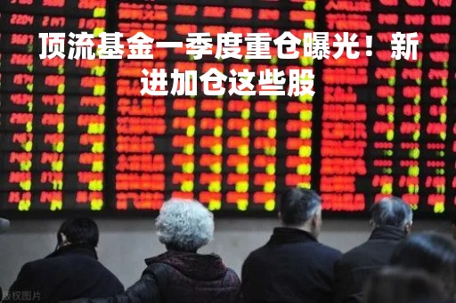 顶流基金一季度重仓曝光!新进加仓这些股 顶流基金一季度重仓曝光!新进加仓这些股