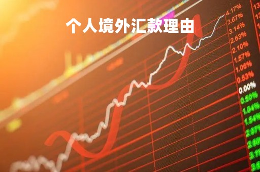 个人境外汇款理由「境外汇款到个人帐户的合理理由」