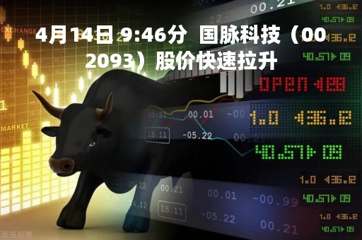 4月14日 9:46分 国脉科技(002093)股价快速拉升