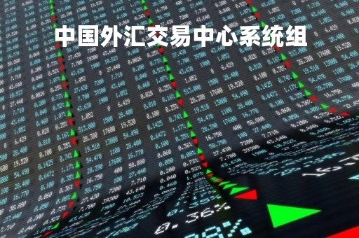 中国外汇交易中心系统组「中国外汇交易中心系统组成部分」