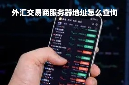外汇交易商服务器地址怎么查询「外汇服务器选择哪个」