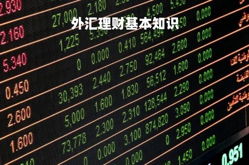 外汇理财基本知识「外汇理财的含义」