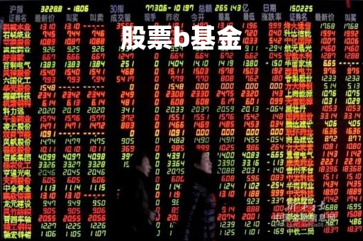 股票b基金「基金b板块」