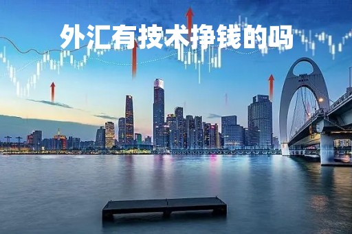 外汇有技术挣钱的吗「外汇交易有没有技术」