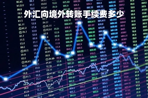 外汇向境外转账手续费多少「外汇转账到国内要多久到账」