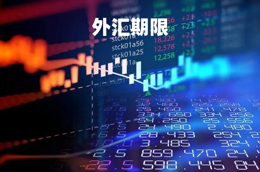 外汇期限「外汇交易期限」