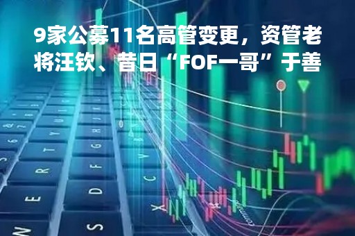 9家公募11名高管变更，资管老将汪钦、昔日“FOF一哥”于善辉均离任